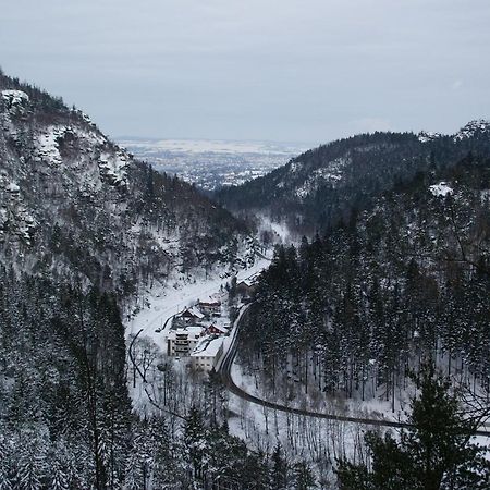 Wohlfuehlzeit Im Zittauer Gebirge Apartment ภายนอก รูปภาพ