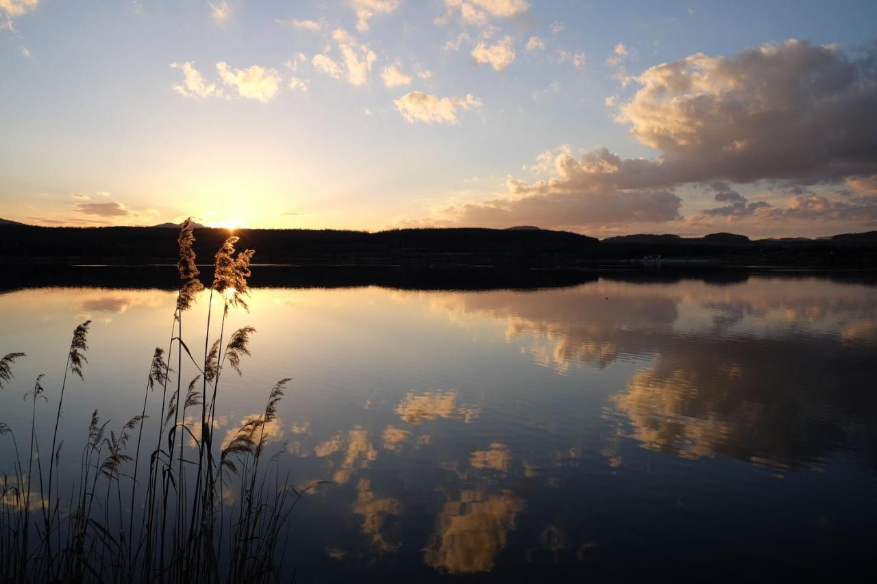 Wohlfuehlzeit Im Zittauer Gebirge Apartment ภายนอก รูปภาพ