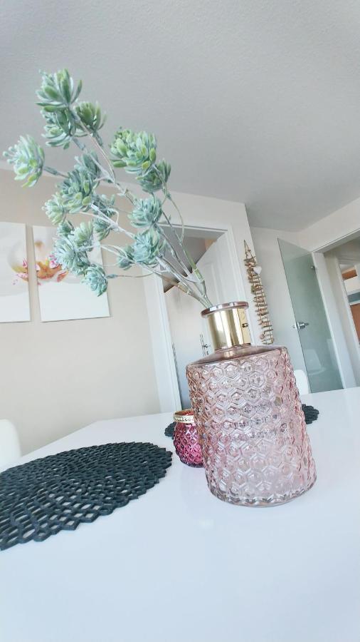 Wohlfuehlzeit Im Zittauer Gebirge Apartment ภายนอก รูปภาพ